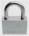 Photo of Cactus Lock and Key