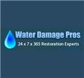 Houston Water Damage Pros logo