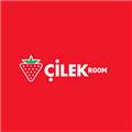 Cilek Kids Rooms logo