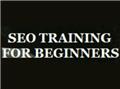 SEO Training For Beginners logo