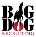 Big Dog Recruiting logo