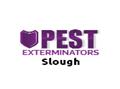 Pest Exterminators Slough logo