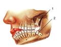 Photo of All Smiles Dental