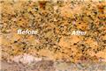 Photo of Stain Stop