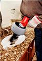 Photo of Dr. Drain Cleaning