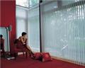 Photo of All about Blinds and Shutters