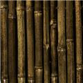 Photo of Aumanns Building & Garden Supplies