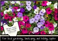 Photo of Aumanns Building & Garden Supplies