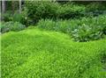 Photo of Aumanns Building & Garden Supplies