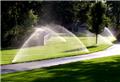 Photo of Eugican Reticulation