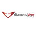 Diamond View Studios logo