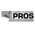 Carpet Cleaning Pros logo
