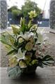 Photo of Melbourne Florist