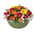 Photo of Flowers from Lisa's