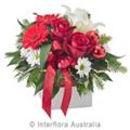 Photo of Flowers from Lisa's
