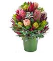 Photo of Flowers from Lisa's