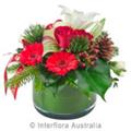 Photo of Flowers from Lisa's
