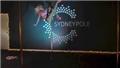 Photo of Sydney Pole Studio