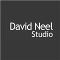 David Neel Studio logo