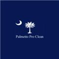 Palmetto Pro Clean logo