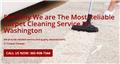 Photo of Full armor carpet and upholstery cleaning