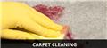 Photo of Full armor carpet and upholstery cleaning