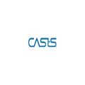 Casts Pvt Ltd logo