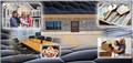 Photo of REAL Star Property Management LLC