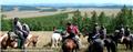 Photo of Goyo Travel