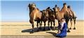 Photo of Goyo Travel