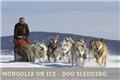 Photo of Goyo Travel