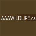 AAA WILDLIFE.ca logo