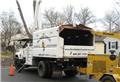Photo of Bumblebee Tree Service and Landscape Design LLC