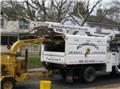 Photo of Bumblebee Tree Service and Landscape Design LLC