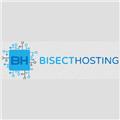 Bisect Hosting logo