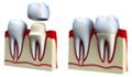Photo of Anderson Lake Dental