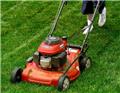 Photo of Texas Best Lawn Care and Landscape