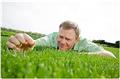 Photo of Texas Best Lawn Care and Landscape