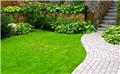 Photo of Texas Best Lawn Care and Landscape