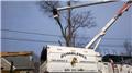 Photo of Bumblebee Tree Service and Landscape Design LLC
