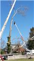 Photo of Bumblebee Tree Service and Landscape Design LLC