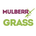 Mulberry Grass logo