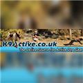 K9 Active logo
