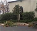 Photo of A-1 Lawn and Tree Service