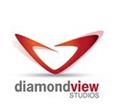 Diamond View Studios logo