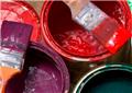Photo of Capital Painter