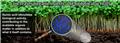 Photo of Humic Harvest Inc