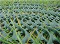 Photo of All Stake Supply