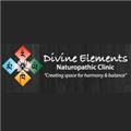 Divine Elements Naturopathic Clinic logo