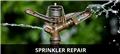Photo of DandM Landscape Maintenance Inc